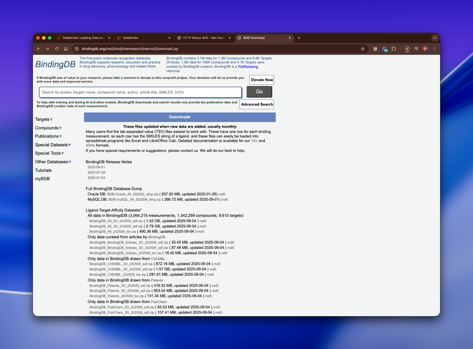 Databricks Notebooks – Cleaning and preparing raw data